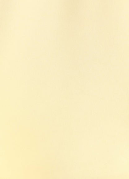 Becka Mini Dress - Yellow