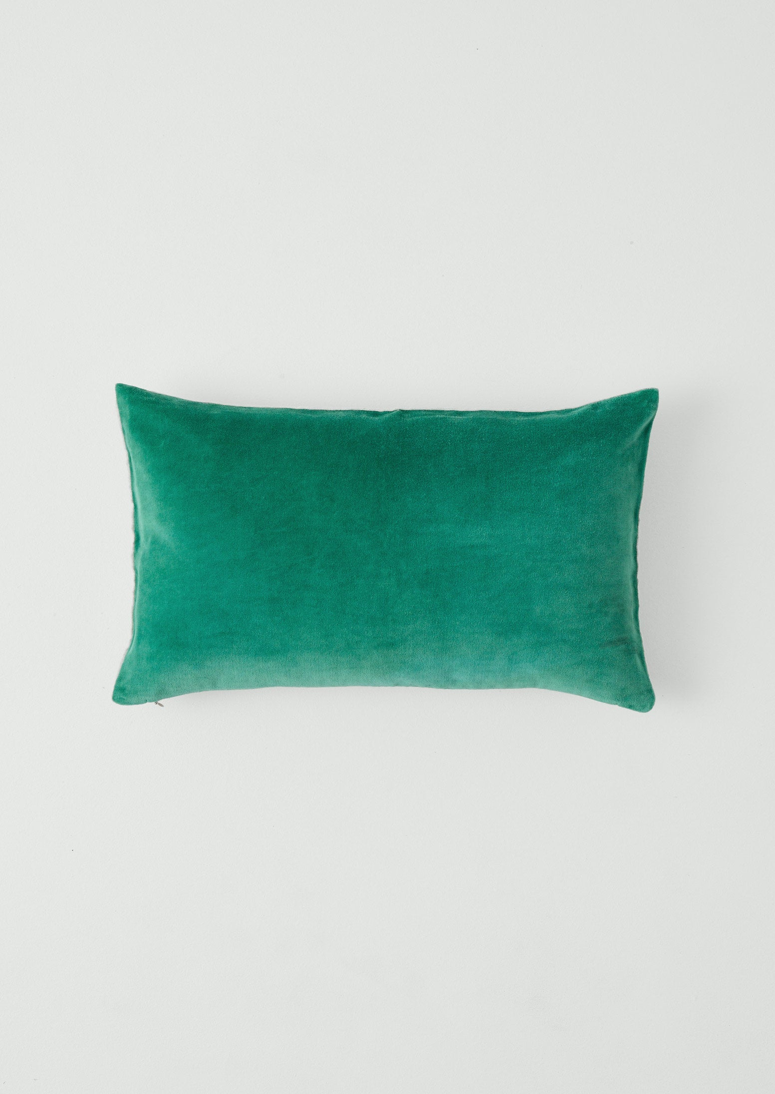 Rectangular Velvet Cushion Cover | Absinthe Green