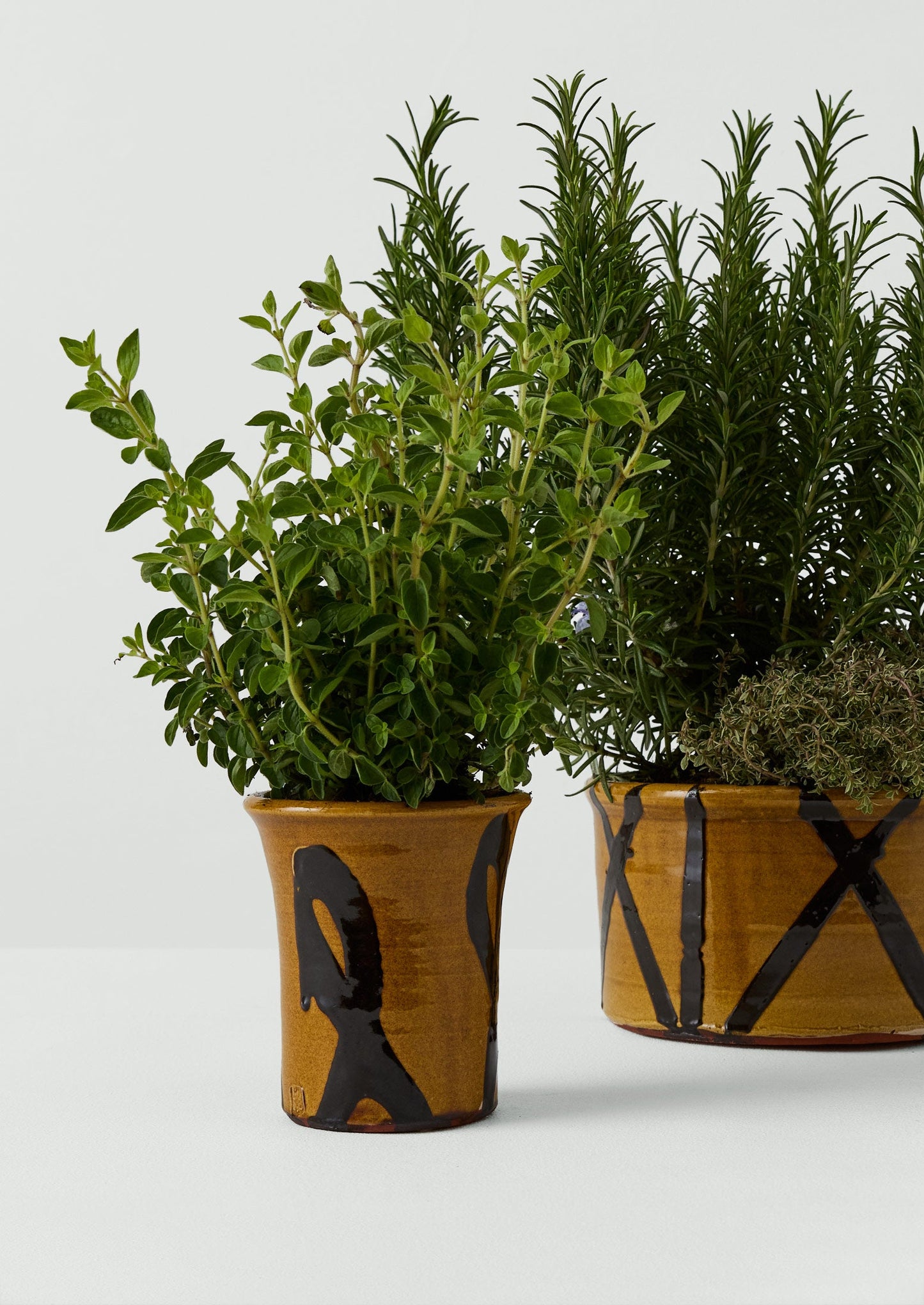 Hoxton Gardenware Large Slipware Planter | Honey
