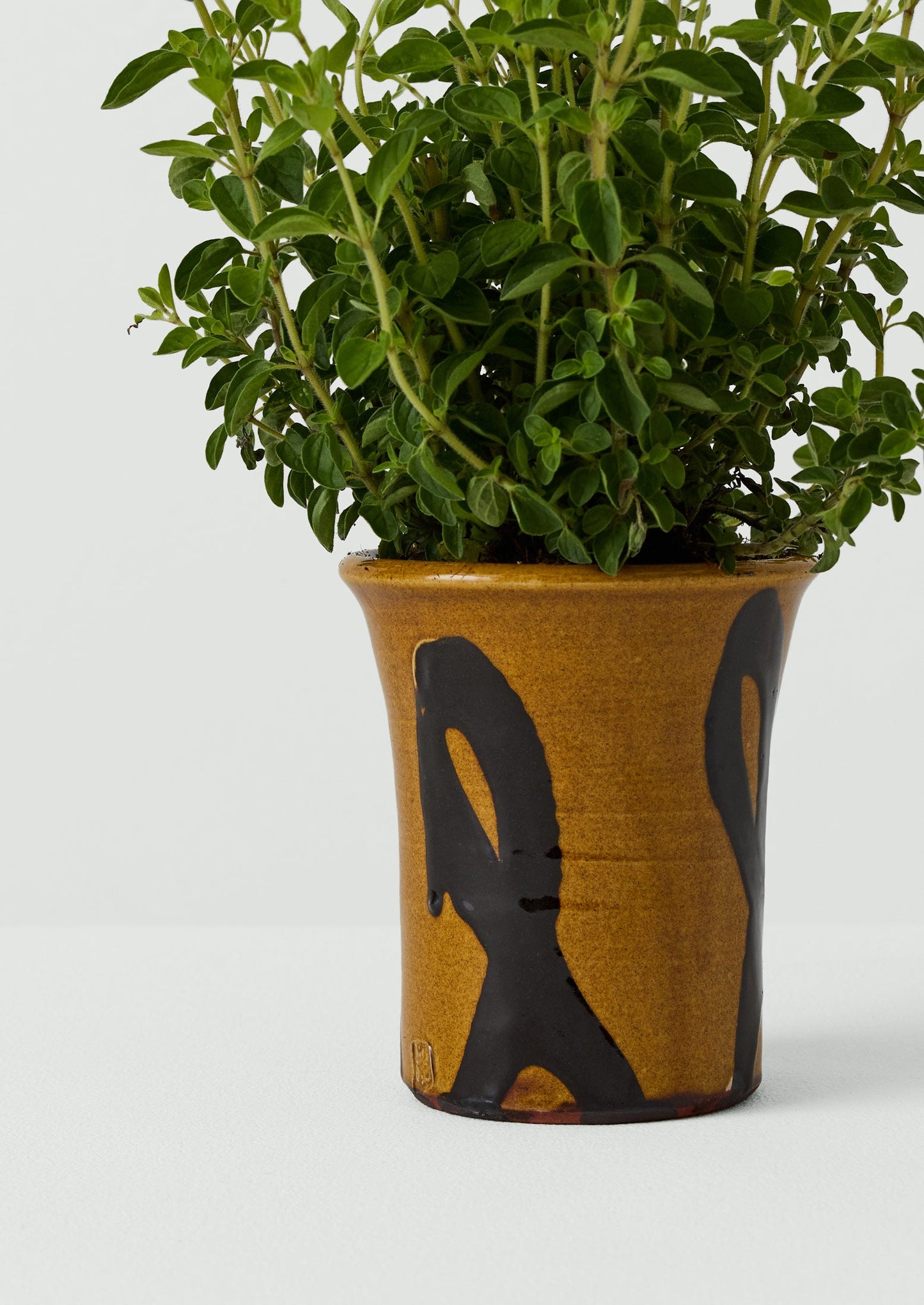 Hoxton Gardenware Small Slipware Planter | Honey