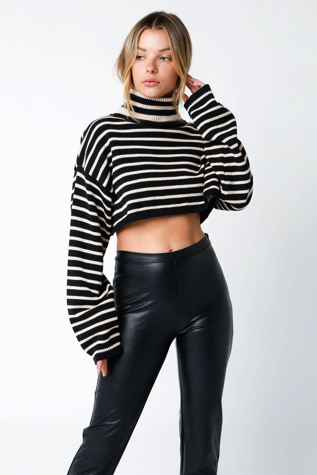 Marla Black & Natural Striped Cropped Turtleneck Sweater