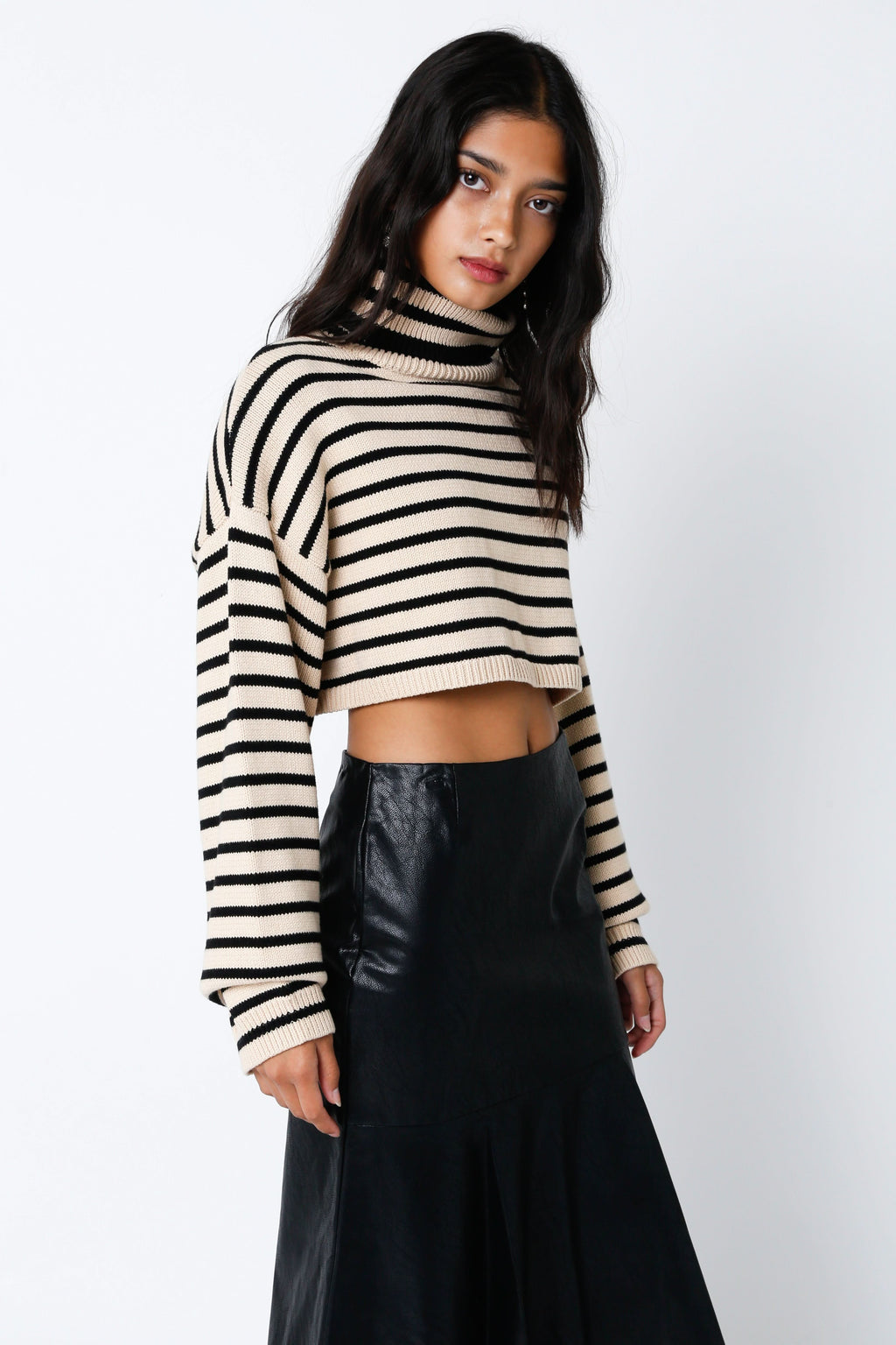 Marla Natural & Black Striped Cropped Turtleneck Sweater
